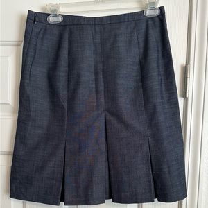 Ann Taylor Loft Pleated and Lined Skirt